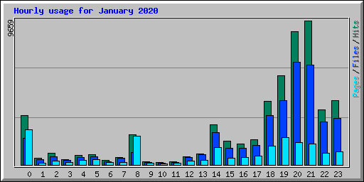 Hourly usage for January 2020
